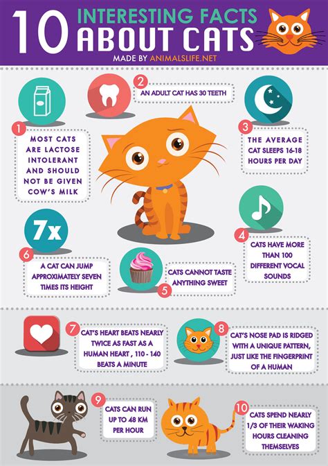 top 10 interesting facts about cats