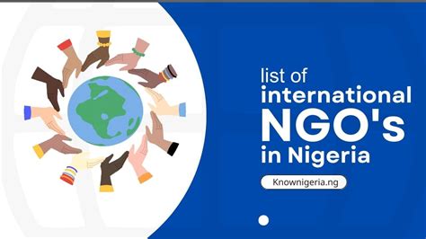 top 10 international ngos in nigeria