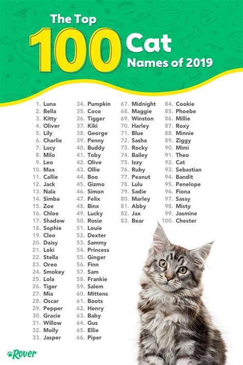 top 100 best cat names