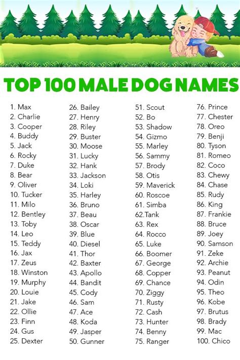 top 100 boy dog names