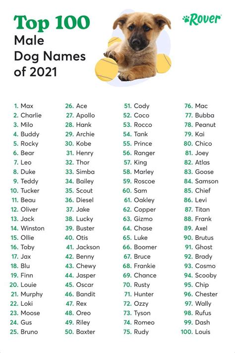 top 100 unique male dog names 2024