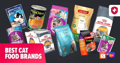top 5 cat food brands