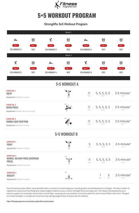 Top 5 Workout Programs