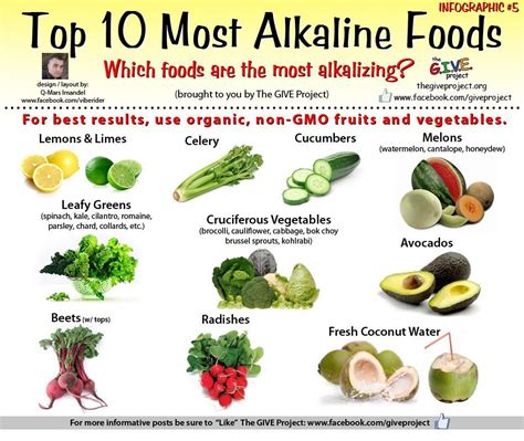top alkaline foods list
