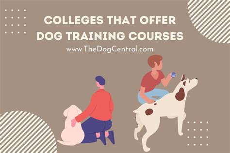 top author offering dog training courses