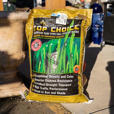 Top Choice Fescue