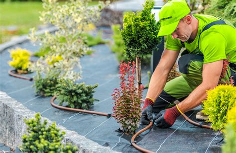 top counselor offering landscaping in aurora