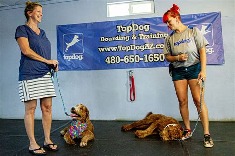Top Dog Boarding Training