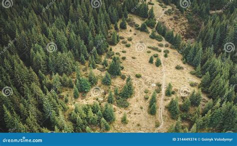 Zion Narrows Top Down Backpacking Guide — CleverHiker