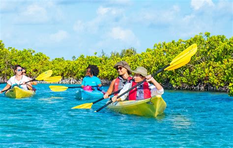 top excursions in turks and caicos