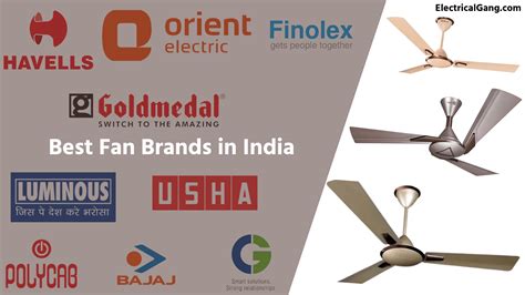 top fan companies in india