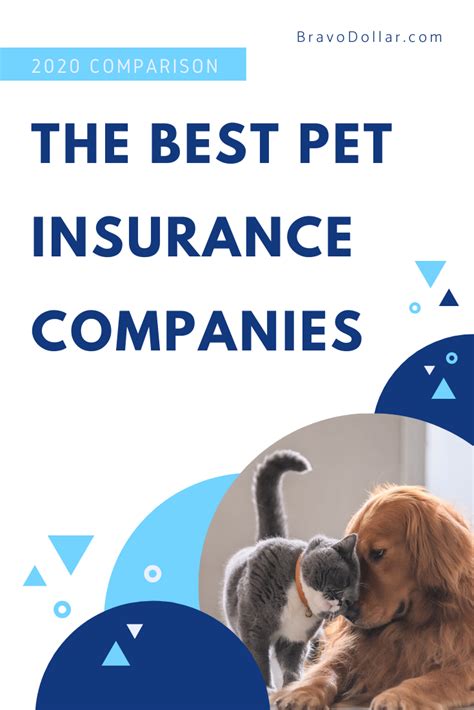 top five pet insurance companies for cats