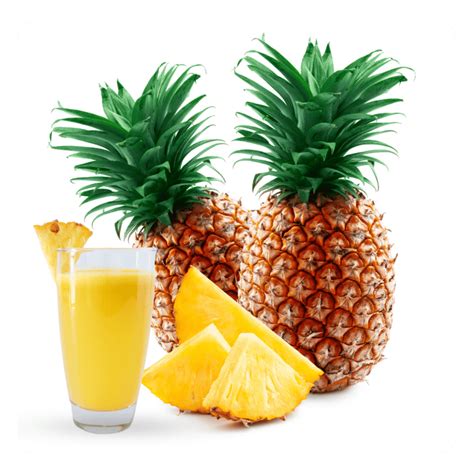 top juice concentrate manufacturers in india