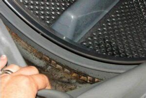 Top Loader Washing Machine Smells Bad