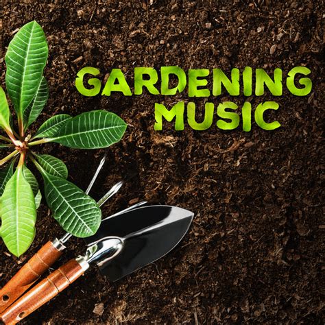 top musician offering gardening in phoenix