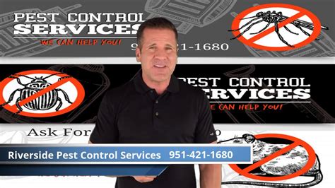 top musician offering pest control solutions