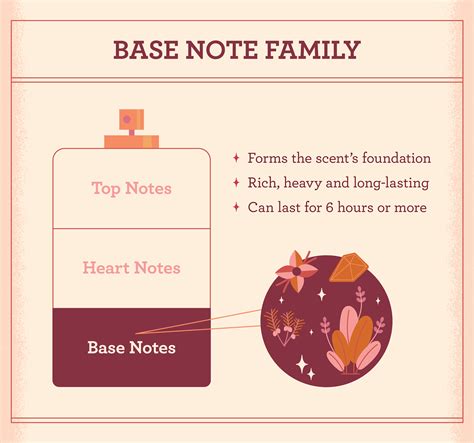 Top Notes Base Notes Heart Notes