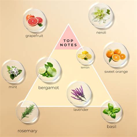 Top Notes Perfume Examples