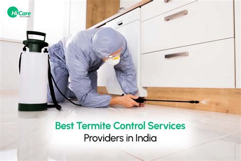 top pest control providers