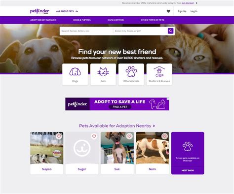 top pet websites
