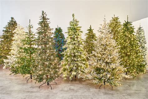 Top Quality Christmas Trees