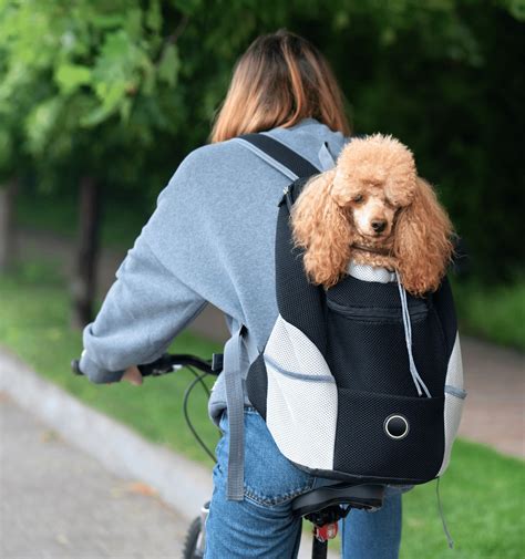 Top Quality Dog Backpack