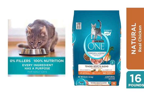 top rated cat food 2023