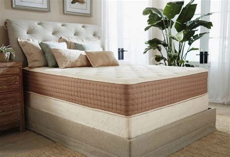 top rated organic latex mattress