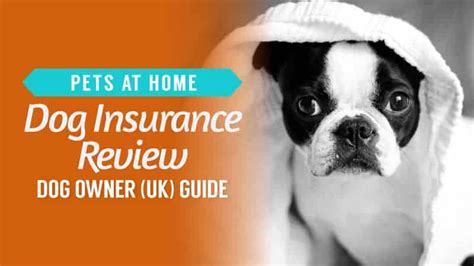 top rated pet insurance uk