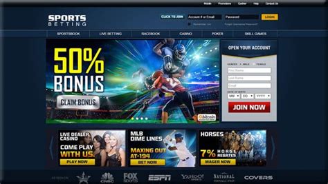 top rated sportsbooks online