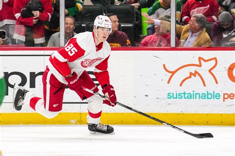 top red wings prospects