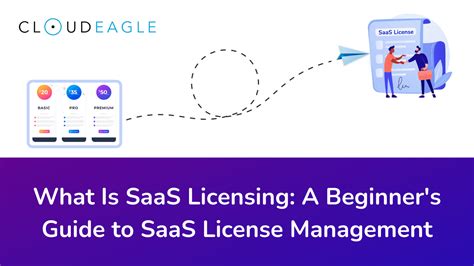 top side Tips for successful SaaS License direction