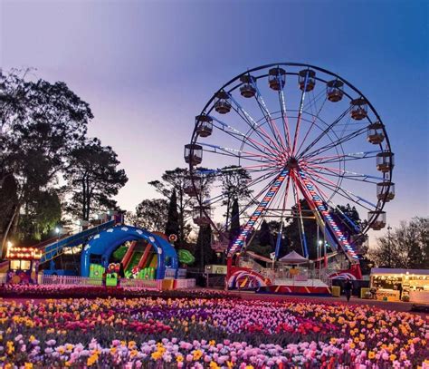 top things to do in canberra
