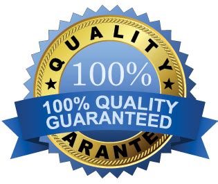 top translator offering courier guarantee