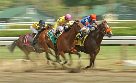 top us horse racing betting sites