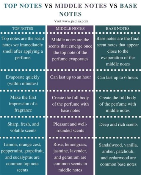Top Vs Middle Vs Base Notes