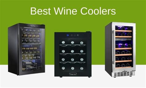 Top Wine Cooler 2021