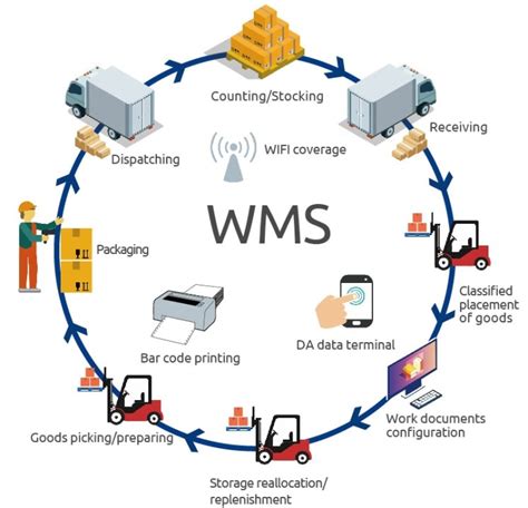 top wms software implementation