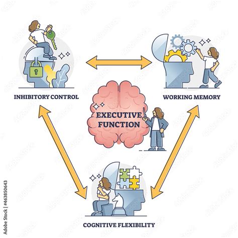 Top-Down Control Of Executive Function