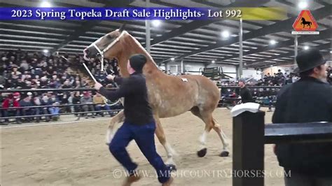 topeka spring draft horse sale 2023