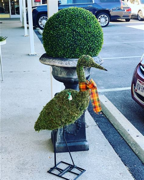 Topiary Virginia Beach