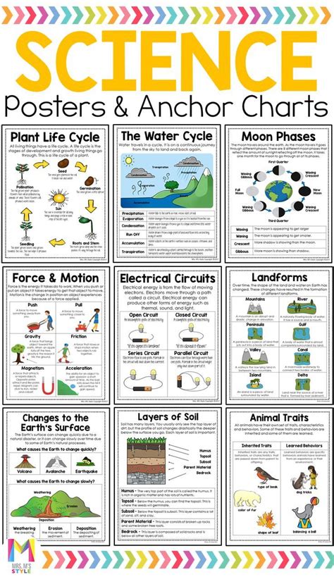 topics for class 3 science