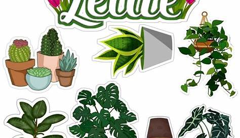 plantas png 10 free Cliparts | Download images on Clipground 2024