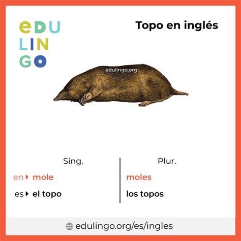 topo spanish to english