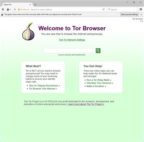 tor browser download exe