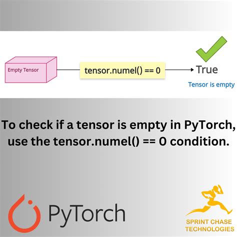 Torch Empty Tensor Check