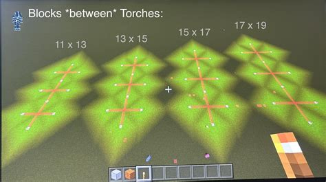 Torch In Minecraft Cheat