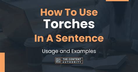 Torch Meaning And Sentence