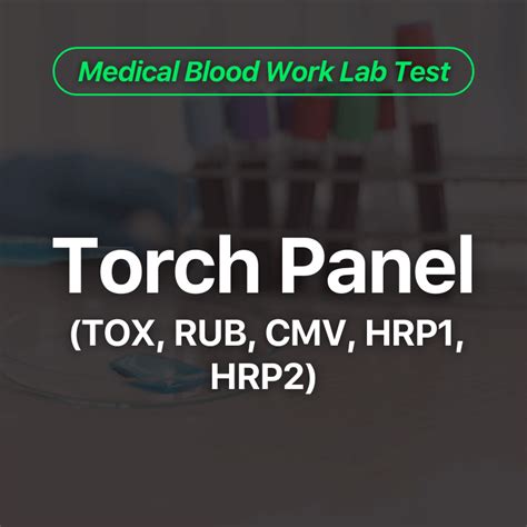 Torch Panel Labs