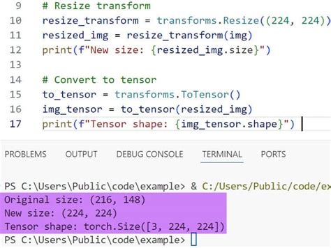 Torch Resize Example